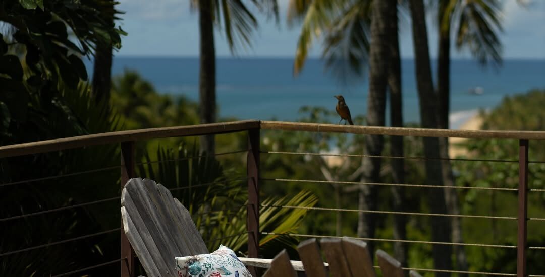 Terravista Golf Boutique 12 no Réveillon 2027 em Trancoso